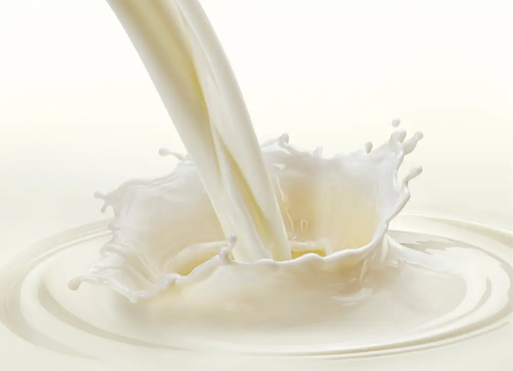 Original Milk filling up close